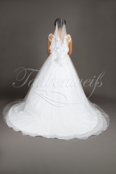 TW Dyani - Wedding dress tulle lace waist band deep neckline train 3