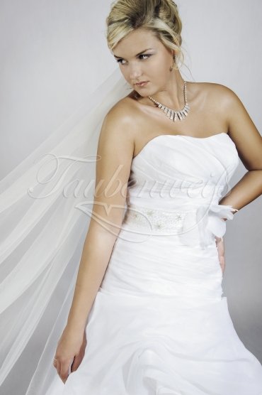 Wedding dress TW0119B - Wedding dress TW0119B fashionable A-line pleated skirt strapless buttons train 2