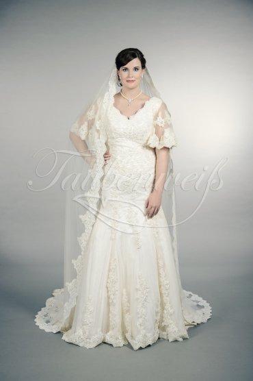Wedding dress TW0159B - Wedding dress TW0159B plus size XXL trumpet bell sleeves lace condensed beadings train