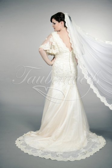 Wedding dress TW0159B - Wedding dress TW0159B plus size XXL trumpet bell sleeves lace condensed beadings train 3